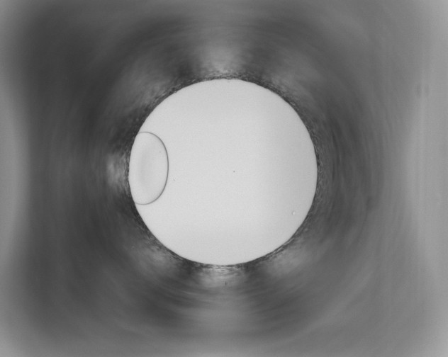 X0000111950672200907271036