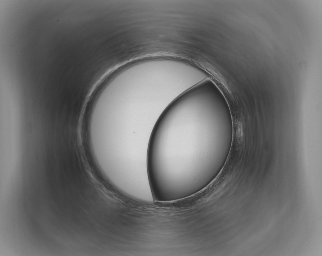 X0000111950676200907271035