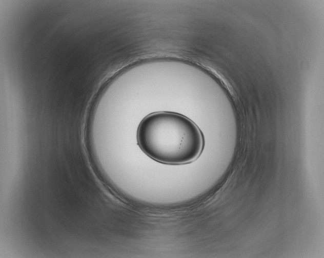 X0000111950677200907271035