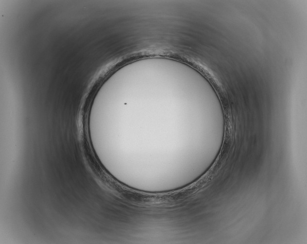 X0000111950678200907271035