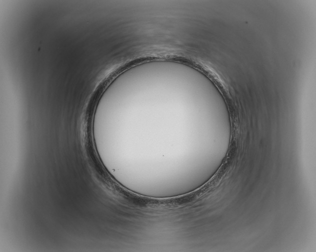 X0000111950679200907271035