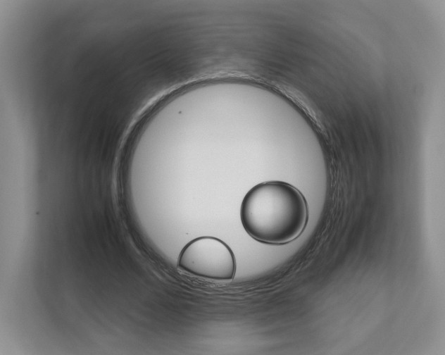 X0000111950680200907271035