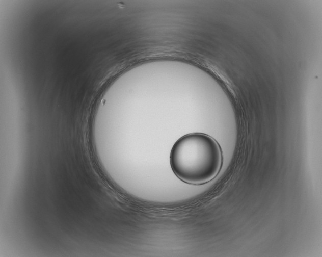 X0000111950681200907271035