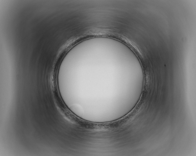 X0000111950682200907271035