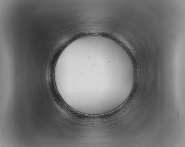 X0000111950683200907271035
