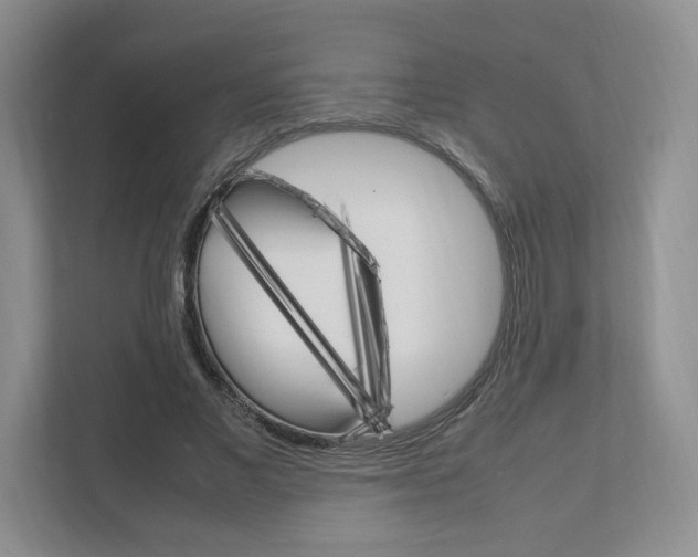 X0000111950685200907271035