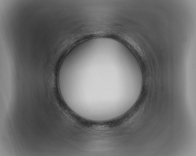 X0000111950689200907271035