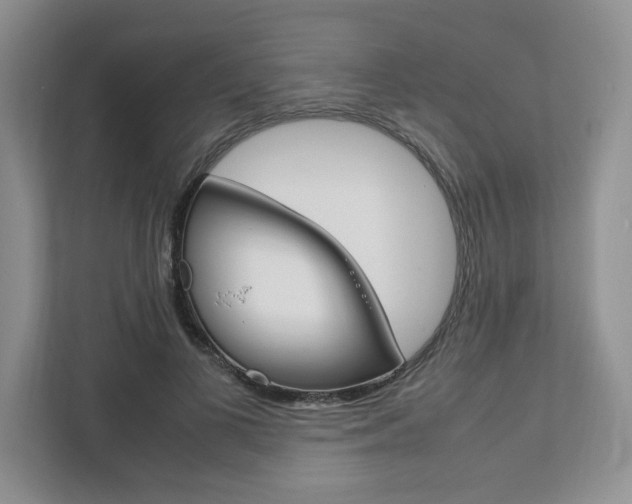X0000111950693200907271035