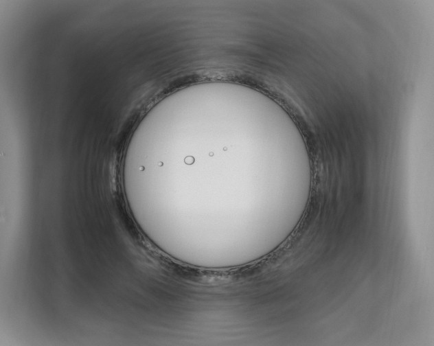 X0000111950694200907271035