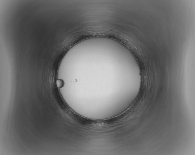 X0000111950695200907271035