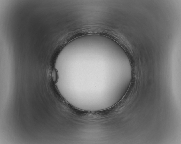 X0000111950697200907271035