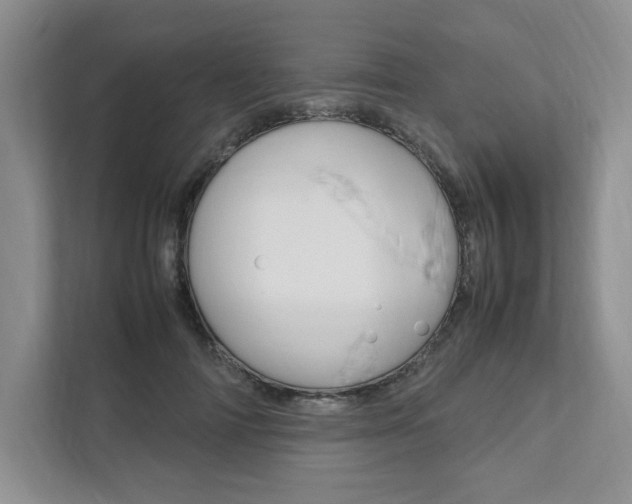X0000111950698200907271035