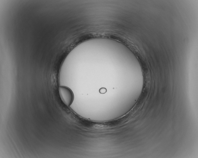X0000111950699200907271035