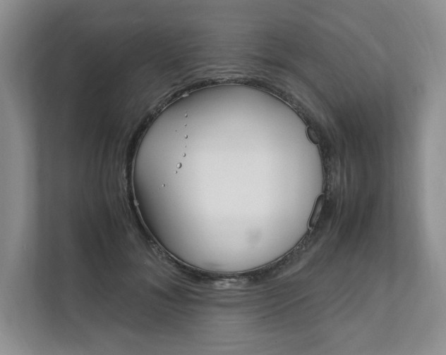 X0000111950700200907271035