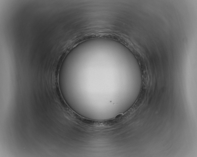 X0000111950704200907271035