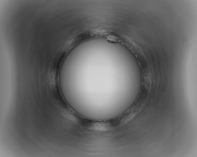 X0000111950708200907271034