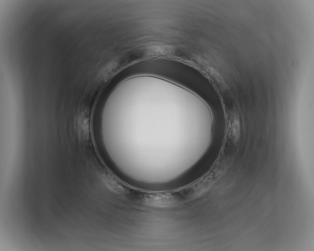 X0000111950716200907271034