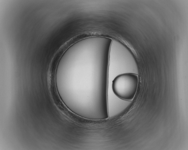X0000111950722200907271034