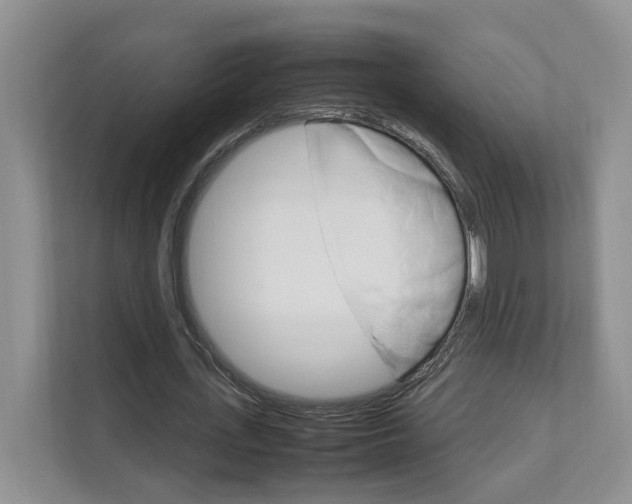 X0000111950723200907271034
