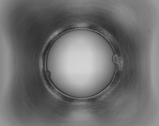 X0000111950726200907271034