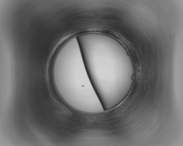 X0000111950727200907271034
