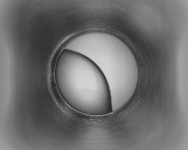 X0000111950728200907271034