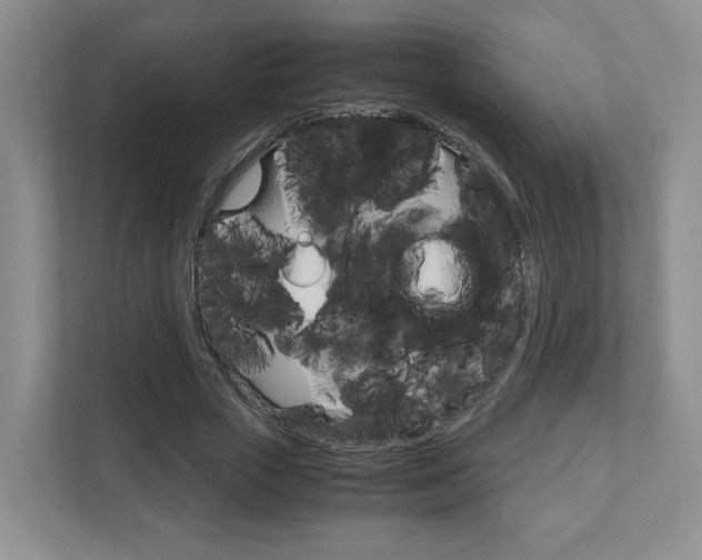 X0000111950729200907271034