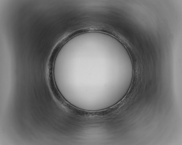 X0000111950730200907271034