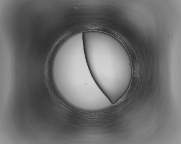 X0000111950731200907271034