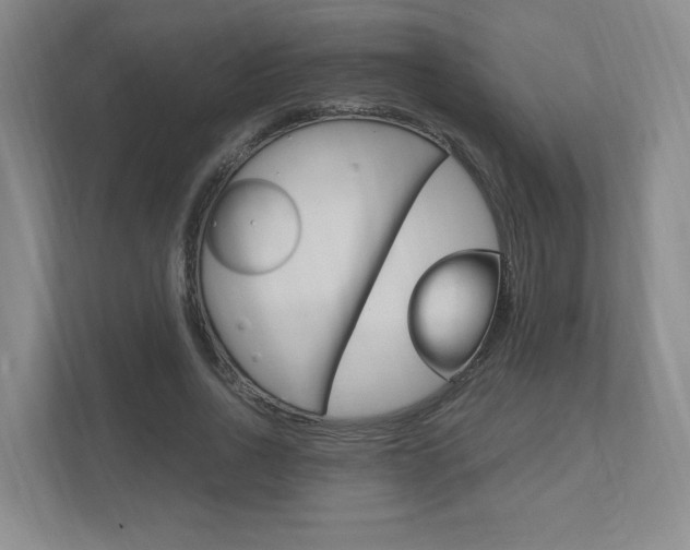X0000111950734200907271034