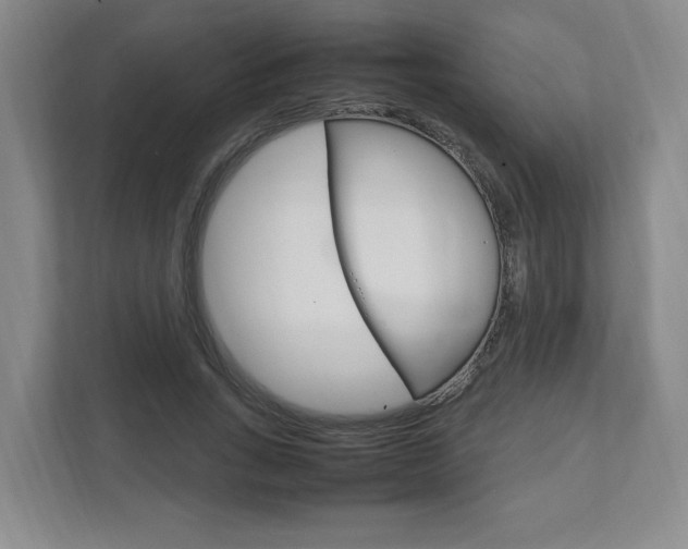 X0000111950735200907271034