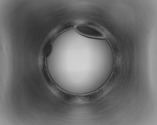 X0000111950736200907271034