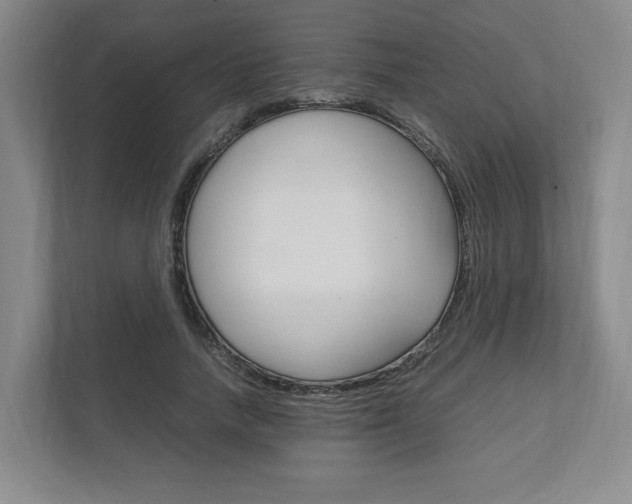 X0000111950738200907271034