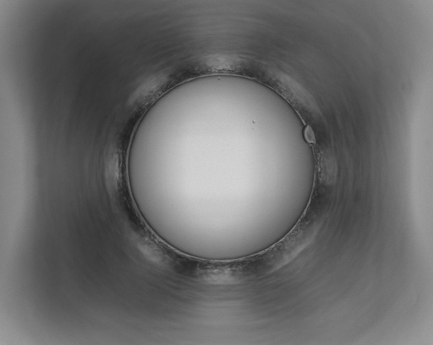 X0000111950740200907271034