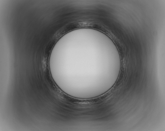 X0000111950741200907271034