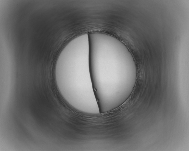 X0000111950743200907271034