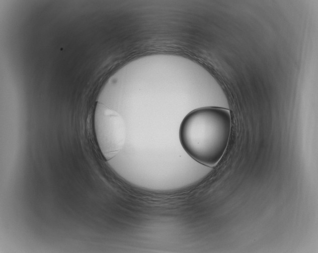X0000111950744200907271034