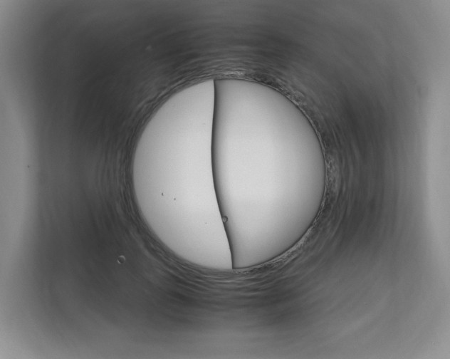 X0000111950747200907271034