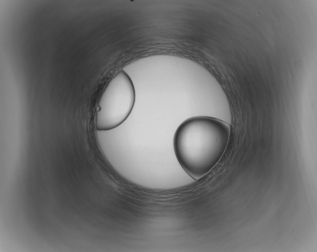 X0000111950750200907271034