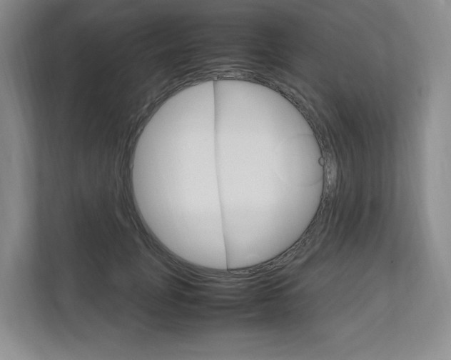 X0000111950751200907271034