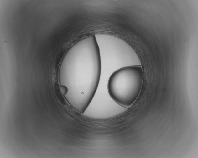 X0000111950752200907271034