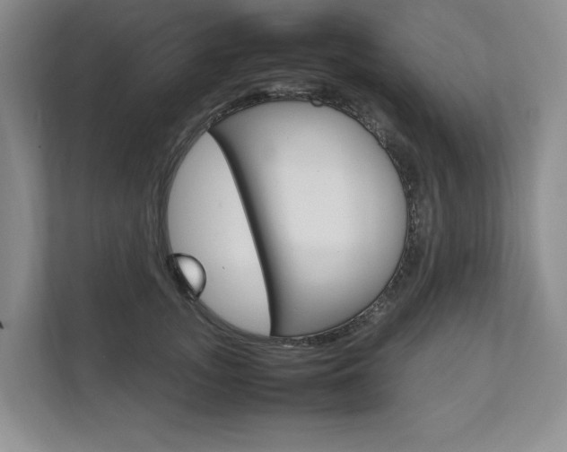 X0000111950755200907271034