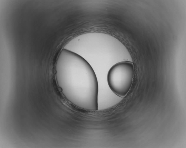 X0000111950756200907271034