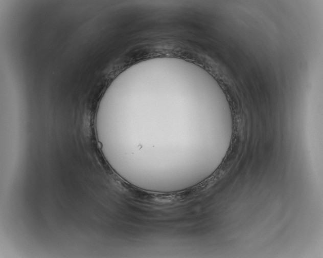 X0000111950757200907271034