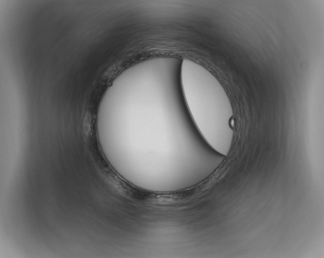 X0000111950758200907271034