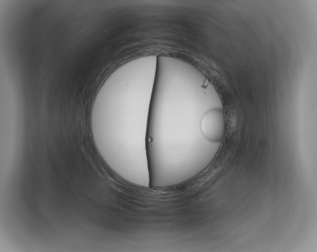 X0000111950759200907271034