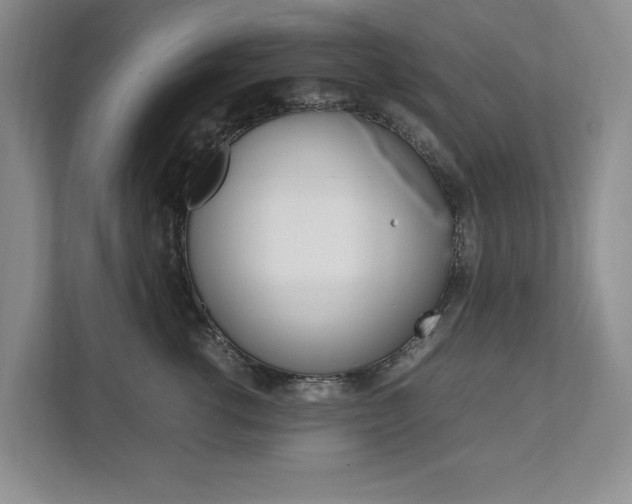 X0000111950762200907271034