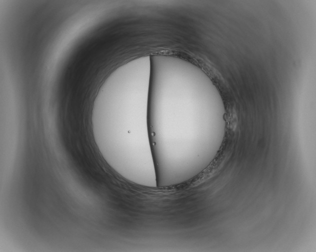 X0000111950763200907271034