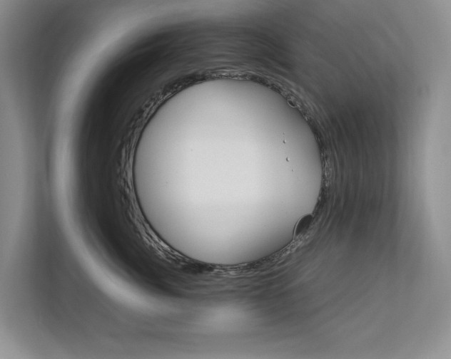 X0000111950764200907271034