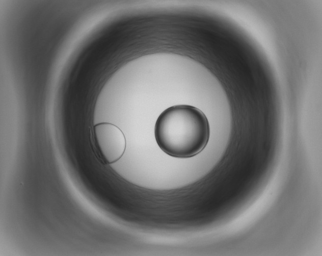 X0000111950766200907271034
